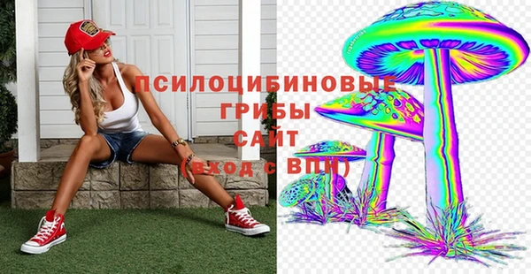 мдпв Богородицк