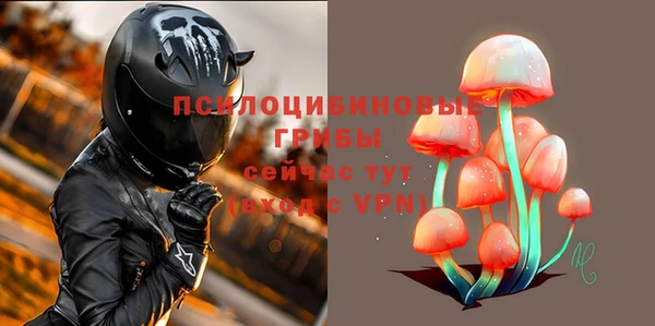 героин Сатка