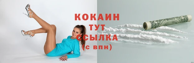 мдпв Богородицк