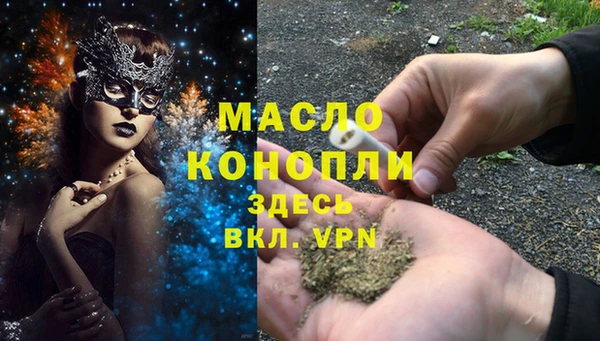 мдпв Богородицк